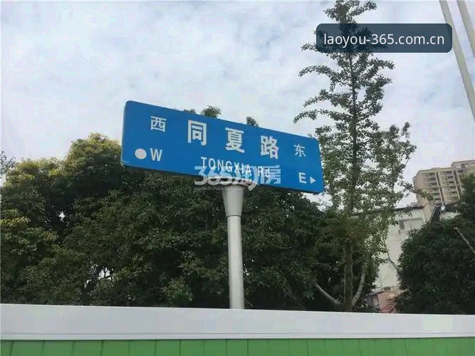 桌面书签与手机收藏夹的对比：其实更像老朋友的路牌365官网安装教程到底该怎么选